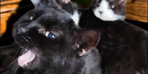 Instagram　2025年3月27日の投稿