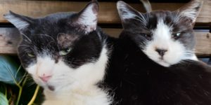 Instagram　2025年3月28日の投稿