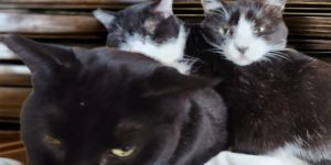 Instagram　2025年3月29日の投稿