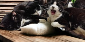 Instagram　2025年4月1日の投稿