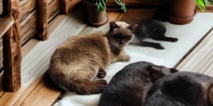 Instagram　2025年4月3日の投稿