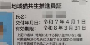 昨日より地域猫共生推進員となりました